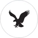 american eagle outfitters